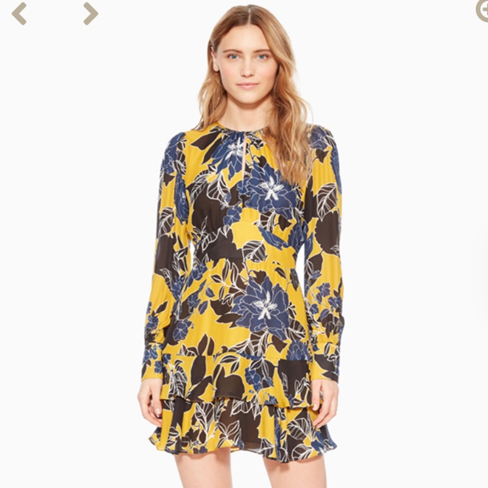 NWOT Parker “Hayley” Dress